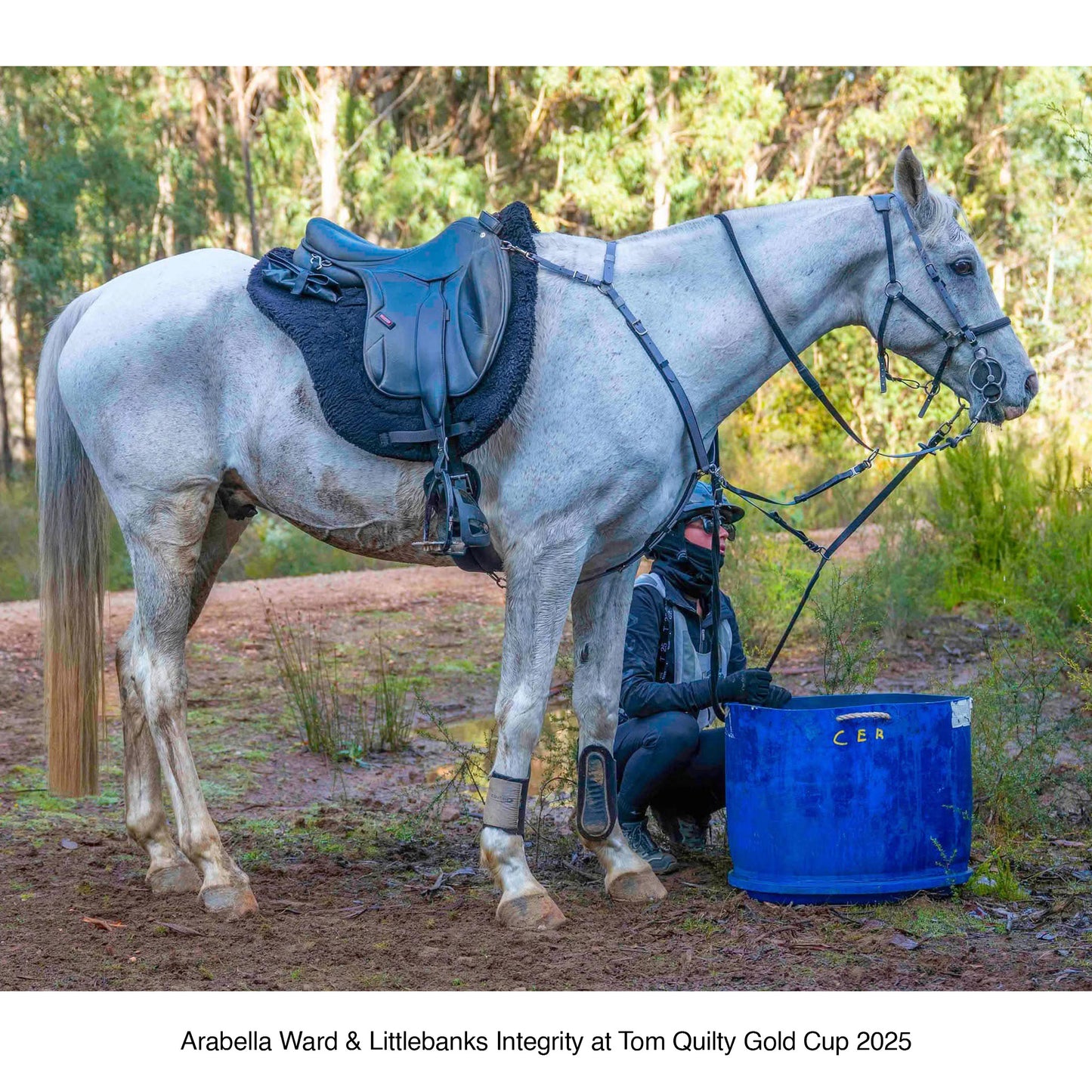 Equitime MAJA Endurance Saddle