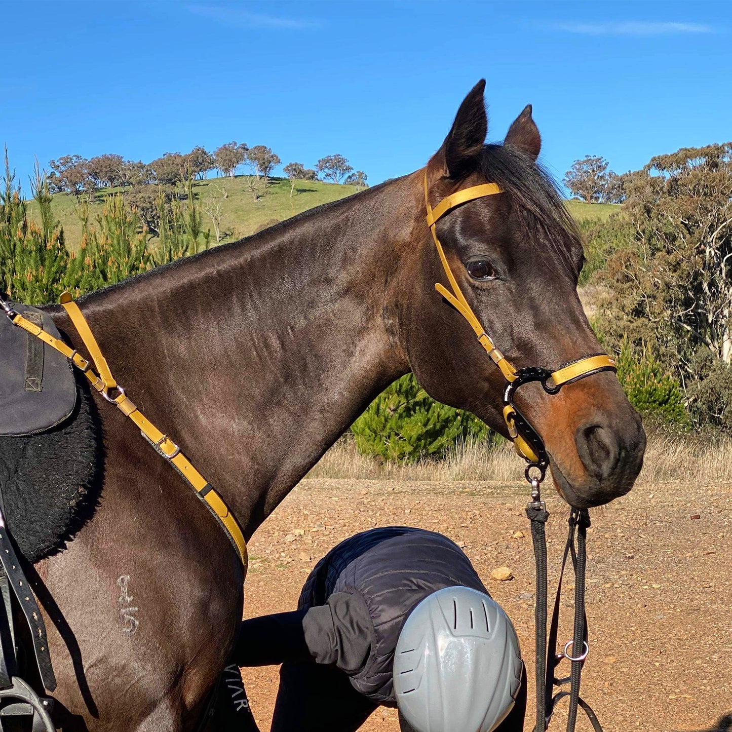 Equitime Endurance S Race Hackamore