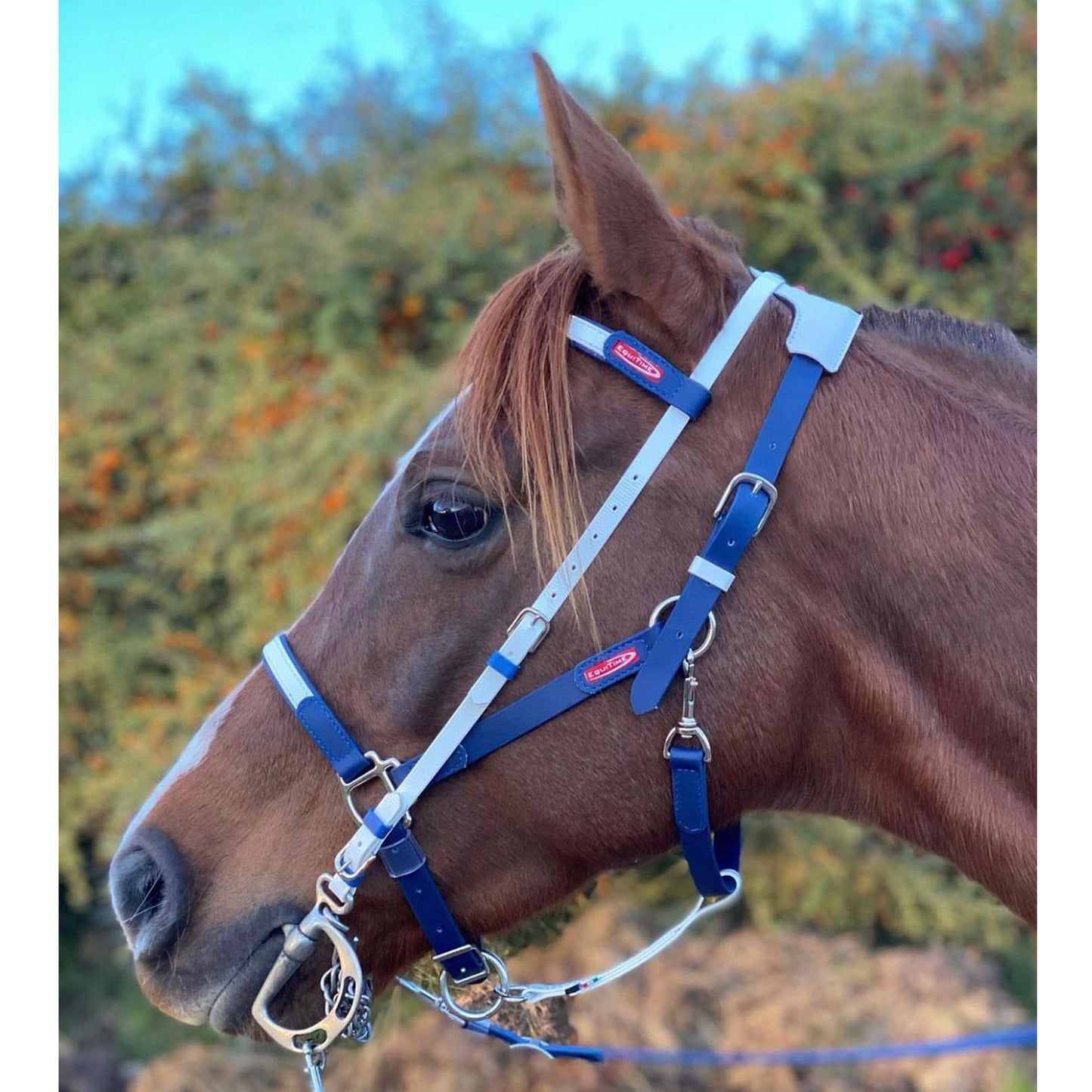 Equitime Easyslim Bridle/Halter Set
