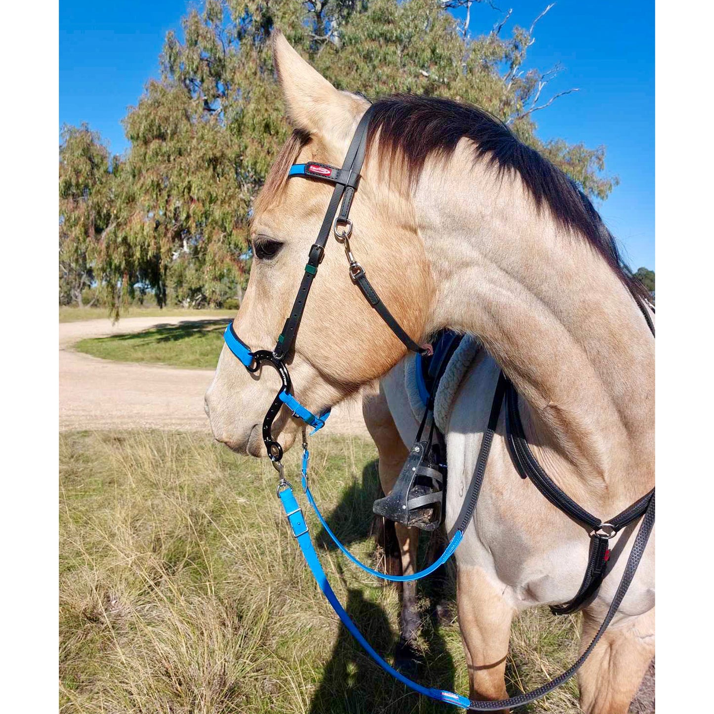 Equitime Endurance S Race Hackamore