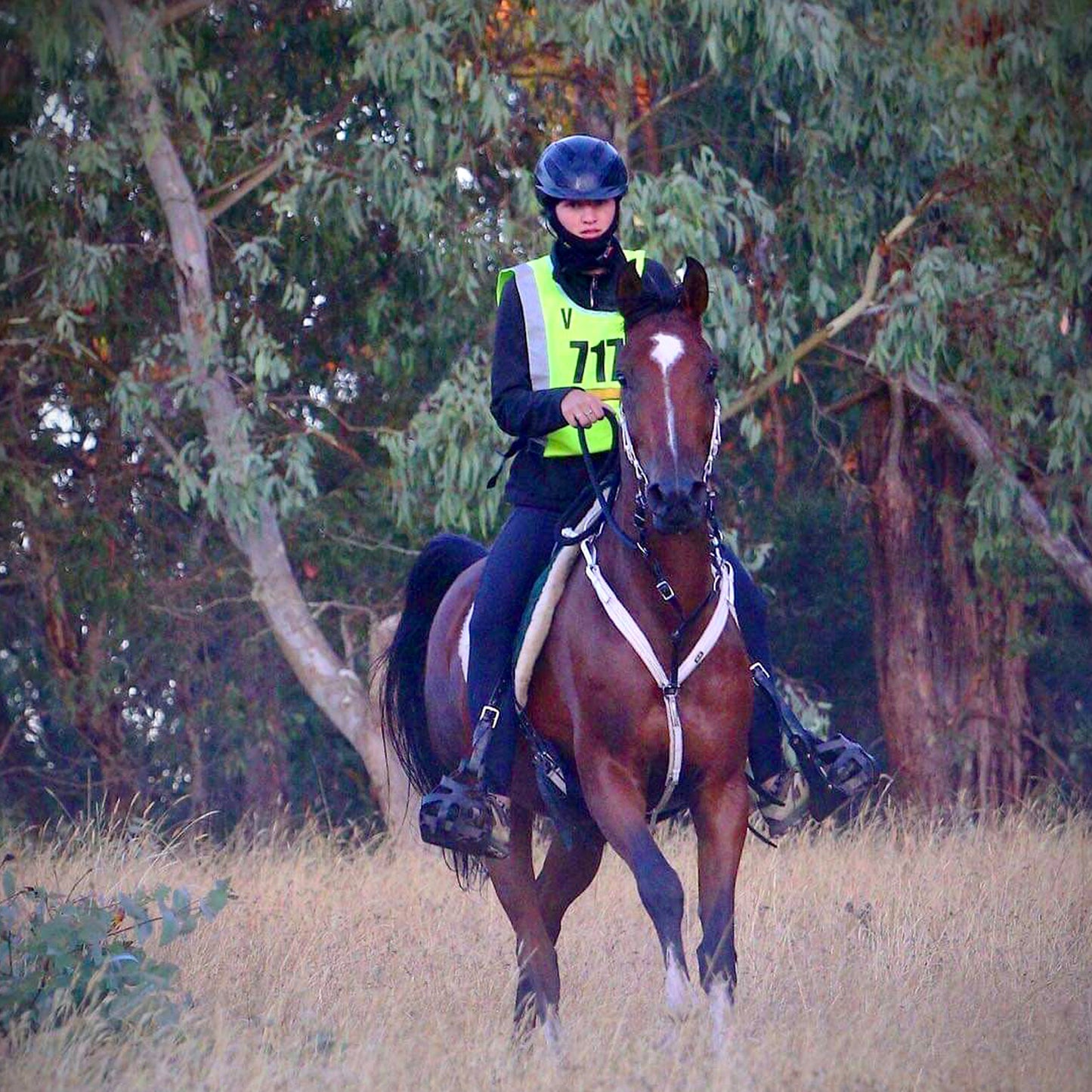Naroo N3F Sports Endurance Riding Balaclava