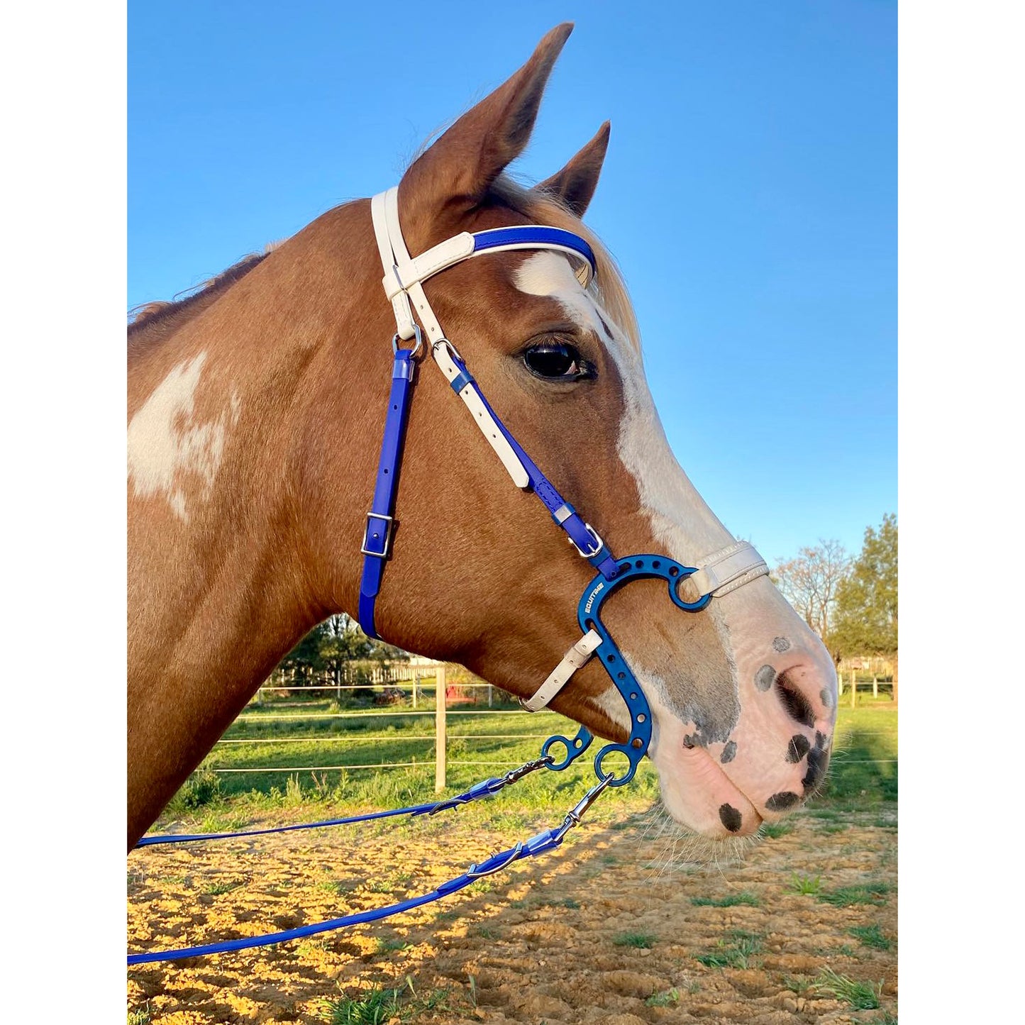 Equitime Endurance S Race Hackamore