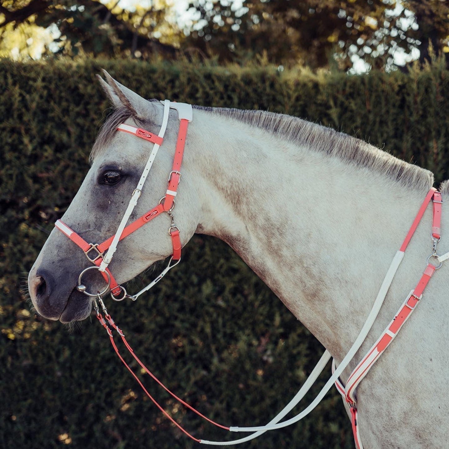Equitime Easyslim Bridle/Halter Set