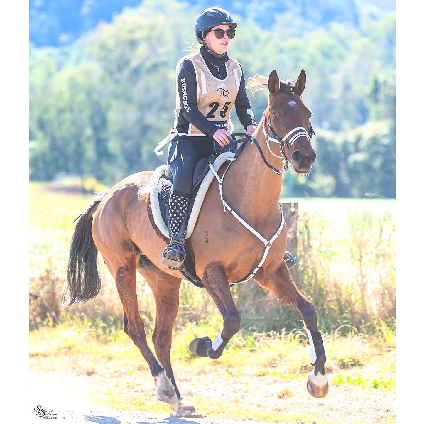 Equitime Endurance S Race Hackamore