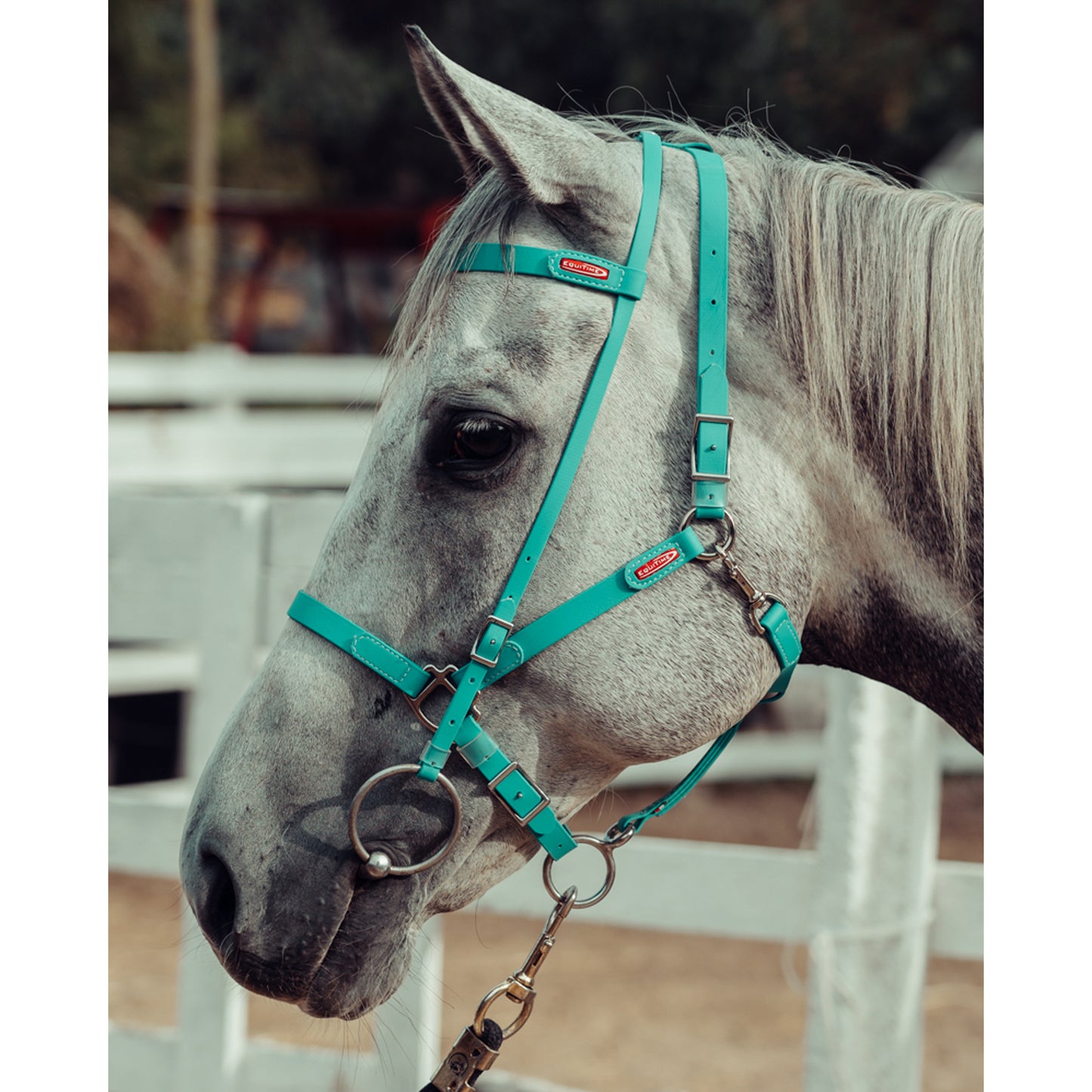 Equitime Easyslim Bridle/Halter Set