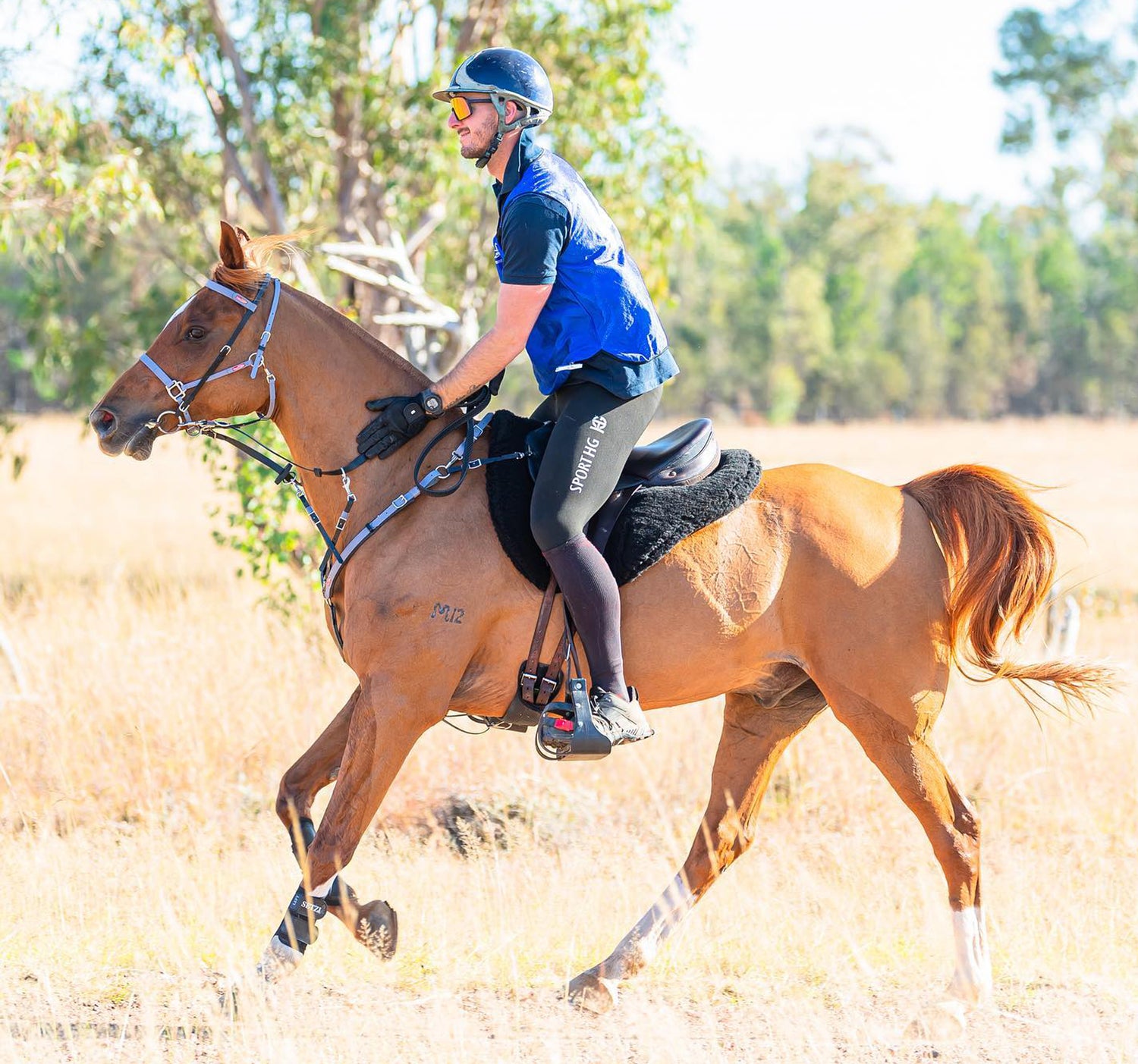 Endurance Horse Tack & Accessories