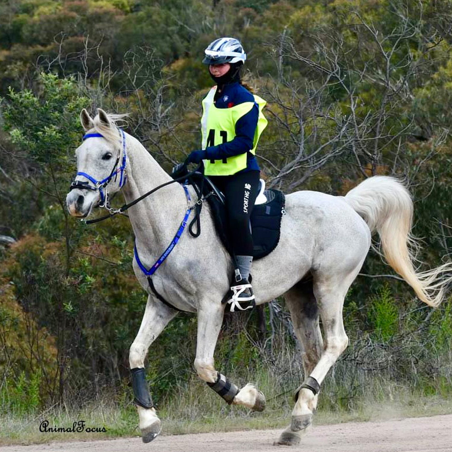 Endurance Horse Tack & Accessories