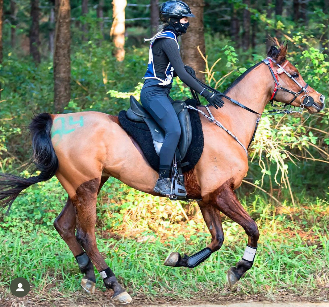 Quality endurance horse tack and saddlery – Equistash Australia