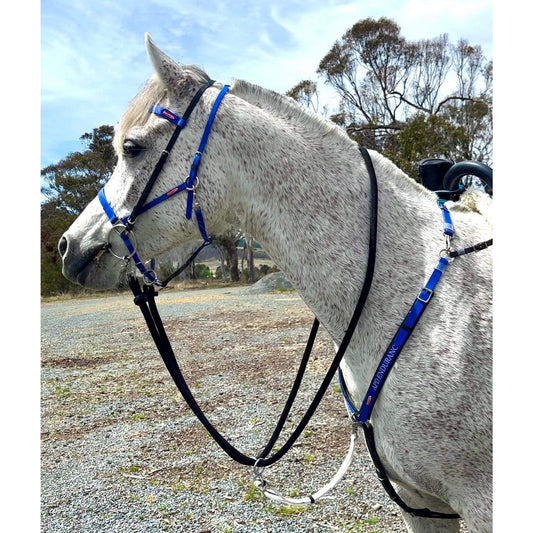 Equitime Easyslim Bridle/Halter Set