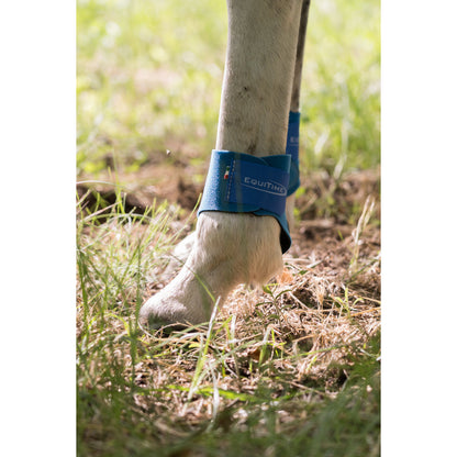 Equitime Back Brushing Boots